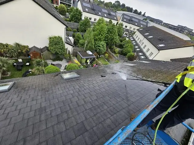 Exterior roof and gutter cleaning Wicklow - SealTec Roofing